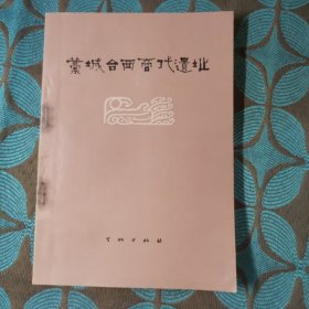 城台西商代遗址