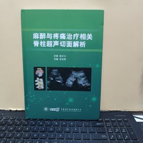 麻醉与疼痛治疗相关脊柱超声切面解析（精装本铜版纸印刷，内页干净无笔记，详细参照书影）