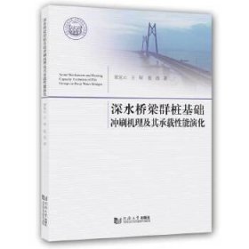 全新正版深水桥梁群桩基础冲刷机理及其承载能演化9787560897059