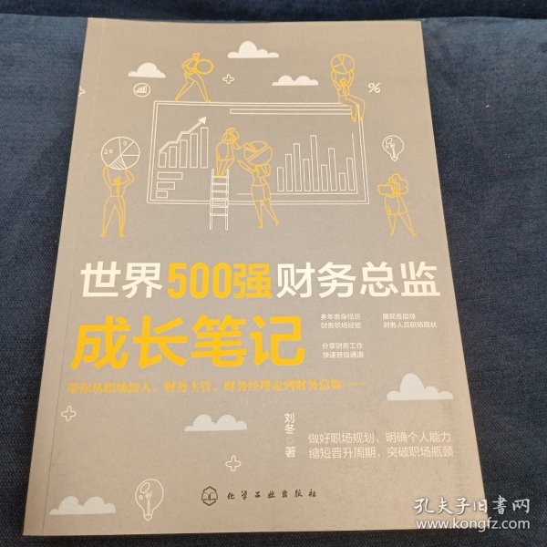 世界500强财务总监成长笔记