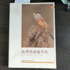 杭州湾湿地鸟类