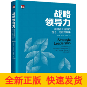 战略领导力：中国企业运作的理念、过程与效果