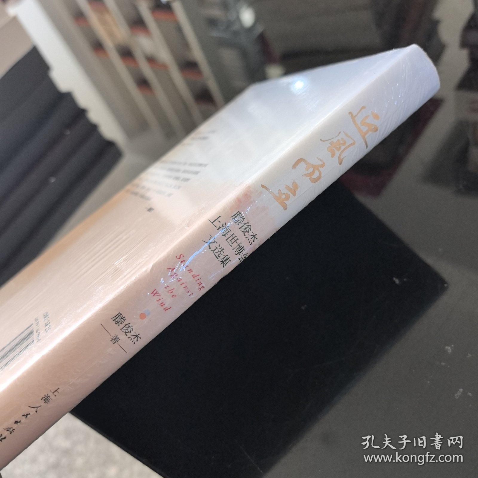 迎风而立--滕俊杰上海世博会文选集