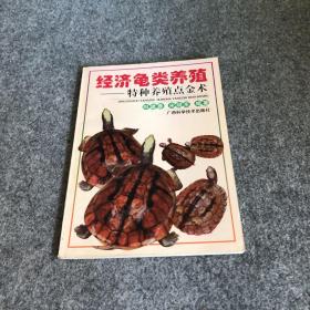 经济龟类养殖/特种养殖点金术丛书