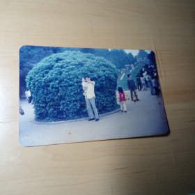 老照片–父亲怀抱小孩在长沙烈士公园留影（右侧有不少游客）