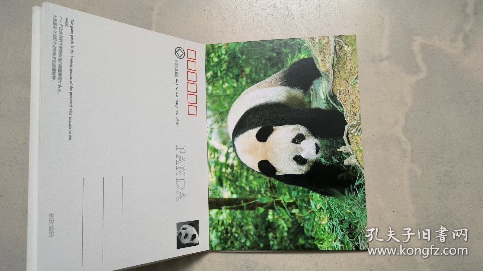 大熊猫（明信片）