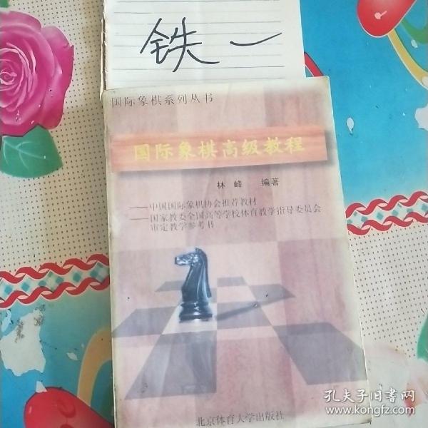 国际象棋高级教程