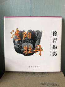 洛阳牡丹-穆青摄影