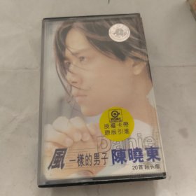 磁带，陈晓东风一样男人。