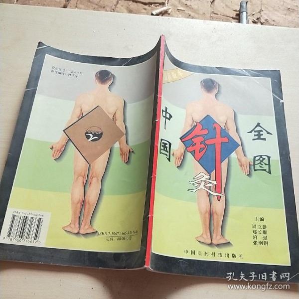 中国针灸全图:使用指南