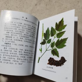 实用中草药彩色图谱