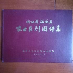 浙江省温岭县农业区划图件集