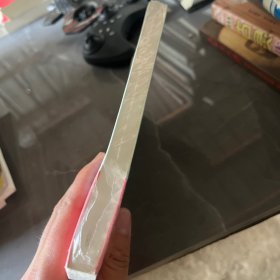 不抢跑也能超越：让孩子爱上学习的心理训练法