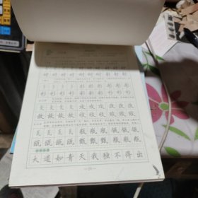 司马彦字帖 写字课堂·钢笔楷书入门教程（水印纸防伪版）