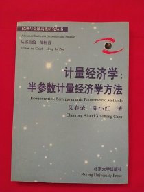 计量经济学：半参数计量经济学方法——经济与金融高级研究丛书