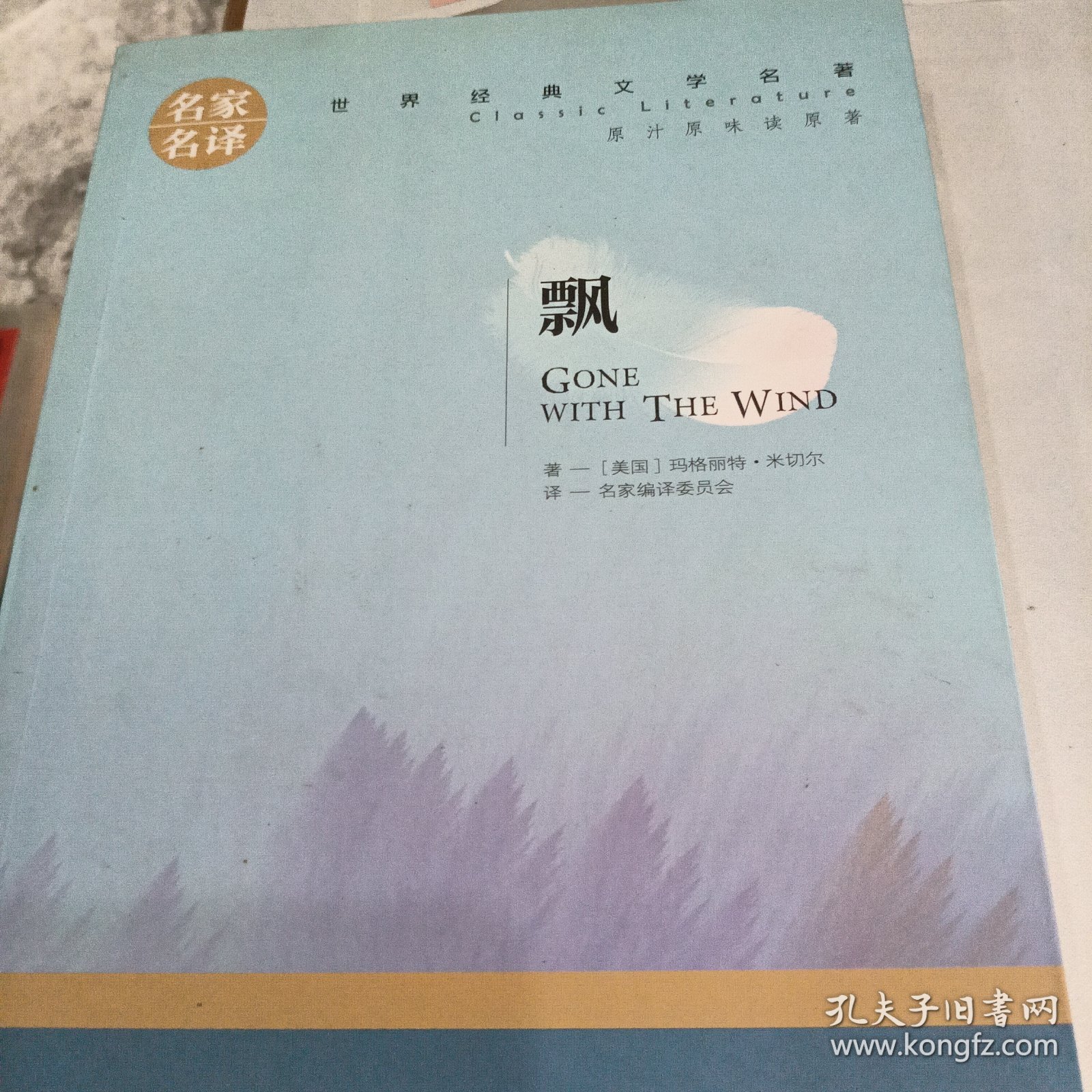 飘 中小学生课外阅读书籍世界经典文学名著青少年儿童文学读物故事书名家名译原汁原味读原著