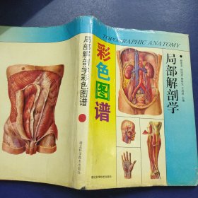 局部解剖学彩色图谱