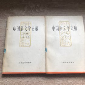 中国新文学史稿 上下