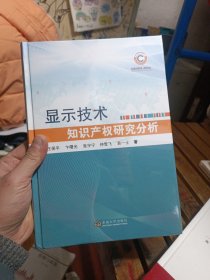 显示技术知识产权研究分析