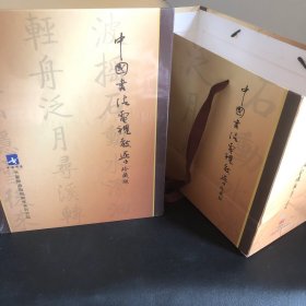 中国书法电视教学珍藏版光盘
