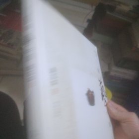 陶艺中国 蒋艺华卷