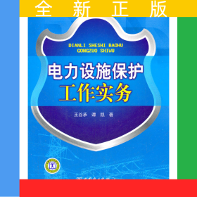 電力設(shè)施保護(hù)工作實(shí)務(wù)