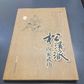 武当内家秘笈系列：松溪派内家武功（经典珍藏版）