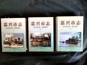 嘉兴市志 全三册