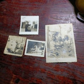 4长老照片