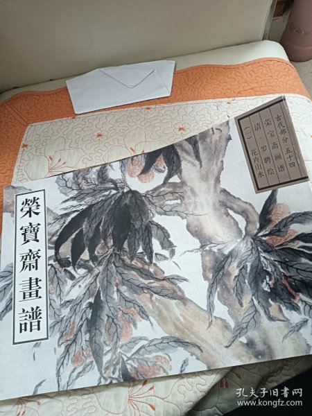 荣宝斋画谱古代部分（54）清·花卉山水