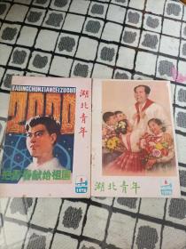 湖北青年1978.6【封面：我们敬爱的毛主席（王伟成作）；杰出的农业科学家贾思勰；热情支农的修补工——李兴香；齐莉莉式的活账本——吴秀珍；刘维汉-货郎晚归（小小说）；阎肃词 羊鸣、姜春阳曲-我为共产主义把青春贡献（歌剧《江姐》选曲）；双峰大队团支部是怎样进行理想教育的；外科专家裘法祖-认真学习 努力作贡献；勇于创新的年轻人（天门县魏顺滔、史少茂）；春满校园 新葩吐艳（中央人民广播电台记者管少一）】