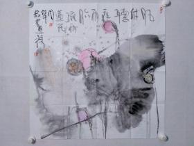 保真书画，四川著名画家，周华君四尺斗方荷花一幅，尺寸：68.5×69cm，软片。