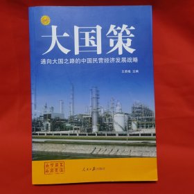 通向大国之路的中国民营经济发展战略