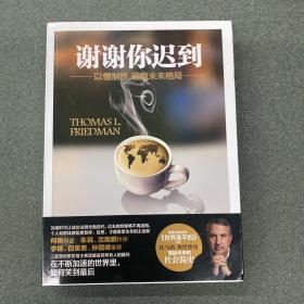 谢谢你迟到：以慢制胜，破题未来格局