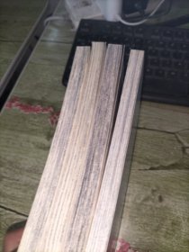 洛奇花园 (1-4) 4册合售