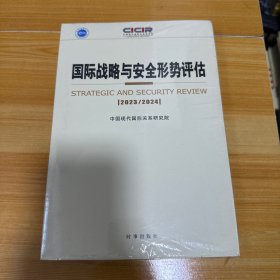国家战略与安全形势评估