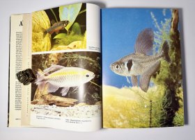 THE FRESHWATER AQUARIUM A practical handbook 淡水水族箱实用手册