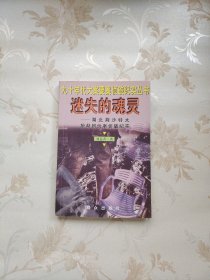 迷失的魂灵--湖北荆沙特大抢劫团伙案侦破纪实