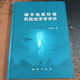 城市地質(zhì)環(huán)境風(fēng)險(xiǎn)經(jīng)濟(jì)學(xué)評(píng)價(jià)