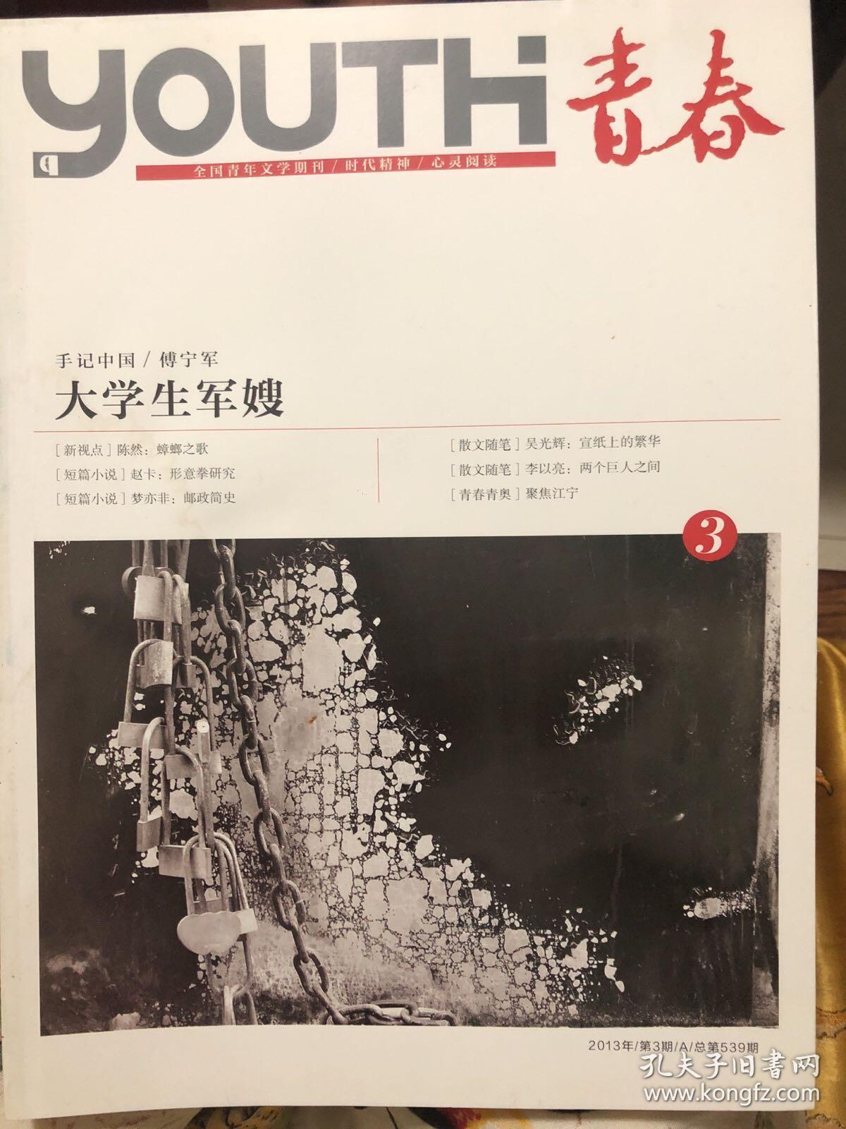 全国青年文学期刊《青春》2013年第6期