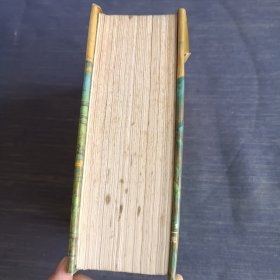 中国历代诗歌鉴赏词典