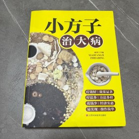 小方子治大病   中医书籍养生偏方大全民间老偏方美容养颜常见病防治 保健食疗偏方秘方大全小偏方老偏方中医健康养生保健疗法