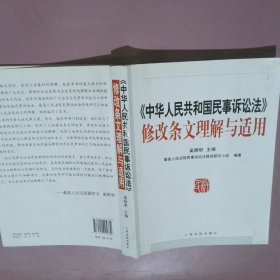 《中华人民共和国民事诉讼法》修改条文理解与适用