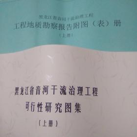 黑龙江省音河干流治理工程可行性研究图集