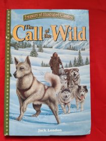 the call of the wild