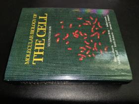 MOLECULAR BIOLOGY OF  THE CELL  SECOND EDITION