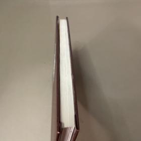 yстройствои летнаЯэксплуатациЯ CИЛОBЫX yctaHobok（飞行操作 俄文）