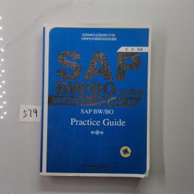 SAP BW/BO实战指南：像学习Office一样学习BW/BO