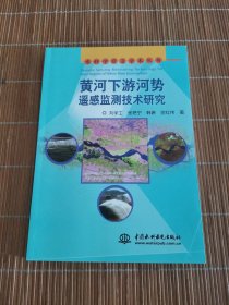 黃河下游河勢遙感監(jiān)測技術(shù)研究