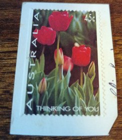 贴1991年澳大利亚邮票郁金香花问候剪片1张 外国邮票（未销戳新票）